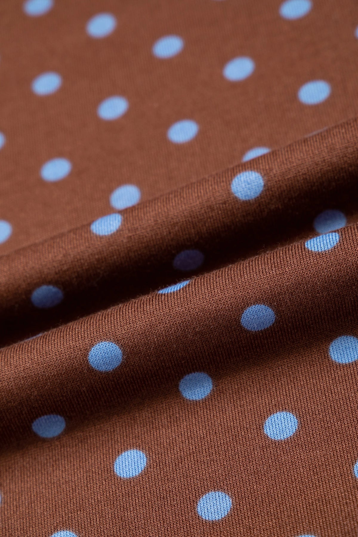 PLUS BROWN POLKA DOT LONG SLEEVE PANT SET